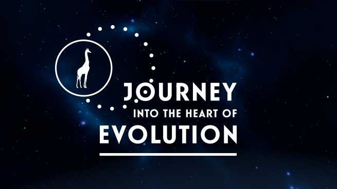 Journey into the heart of Evolution