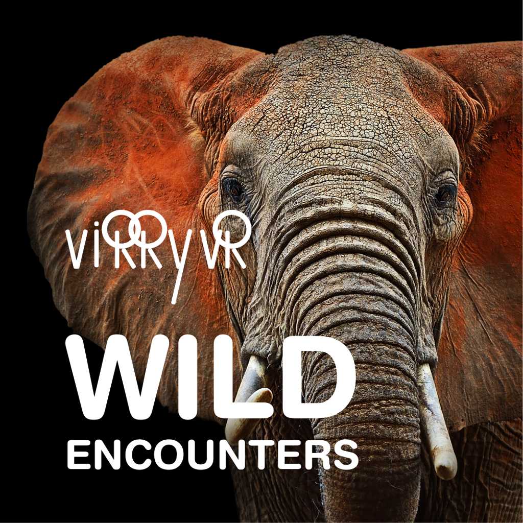 Virry VR: Wild Encounters