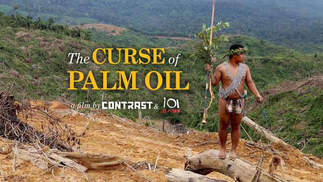 The Curse of Palm Oil