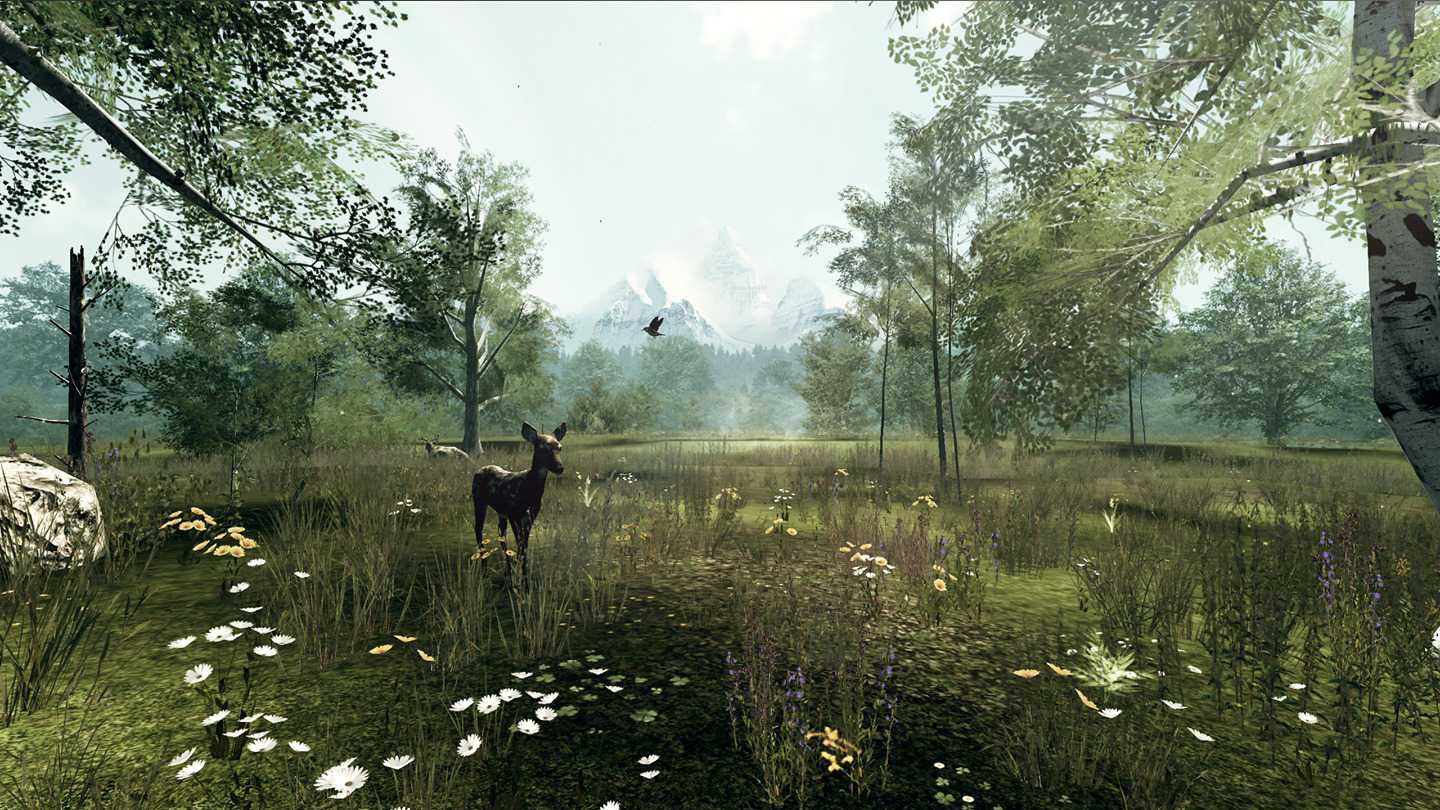 Oculus quest hot sale nature treks