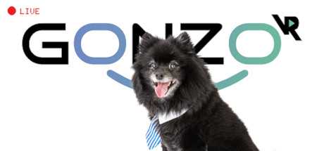 GonzoVR