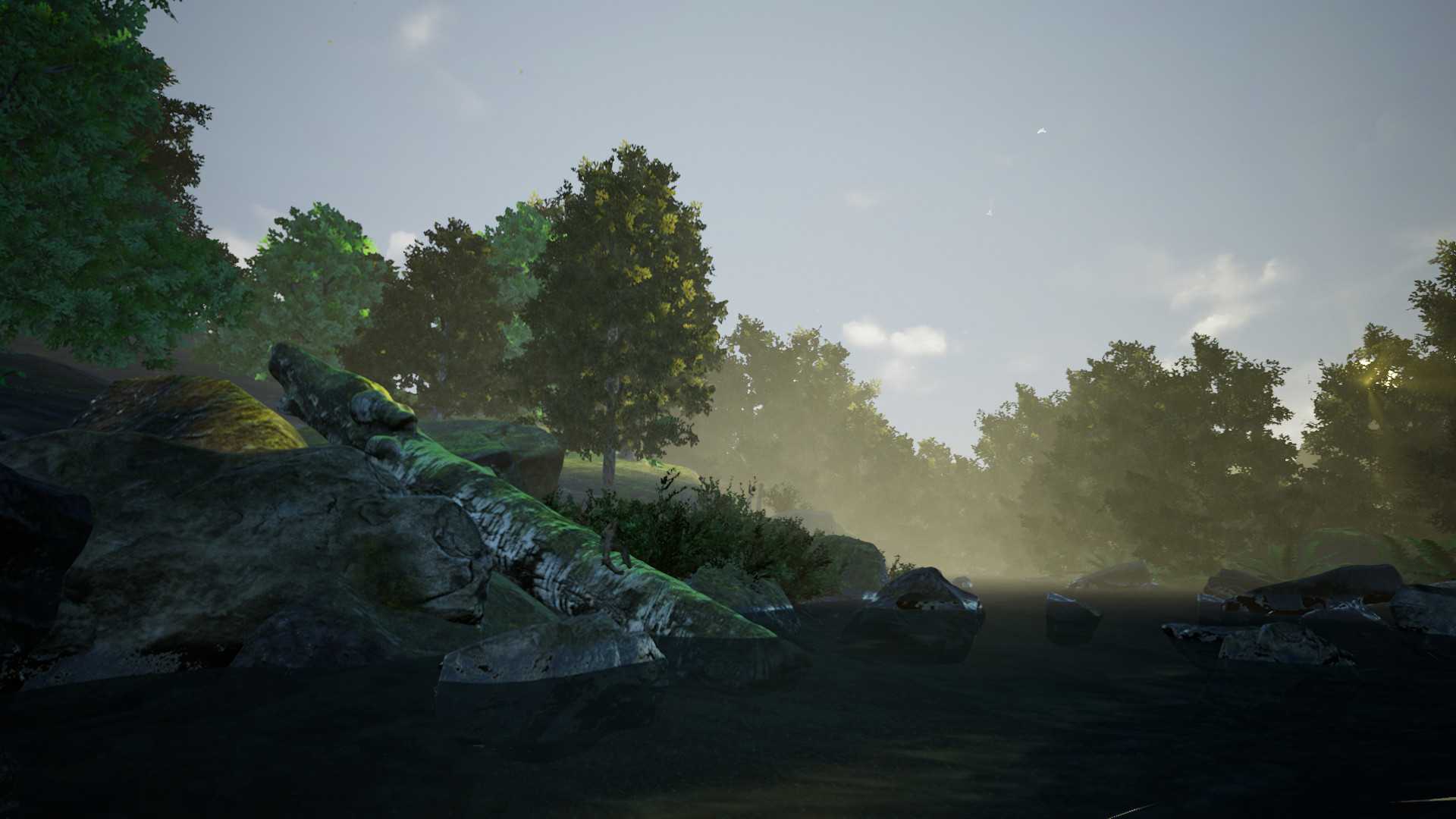 River Relaxation VR