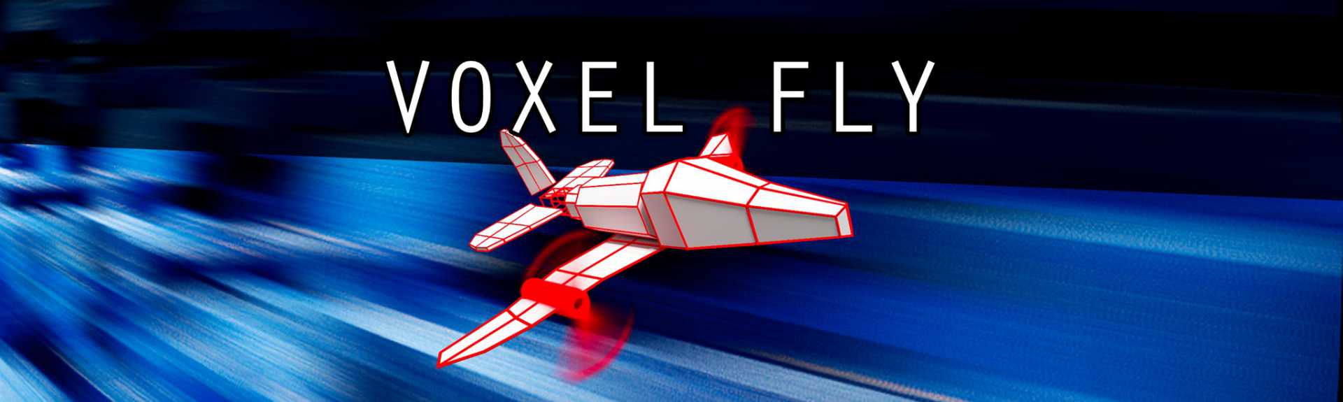 Voxel Fly