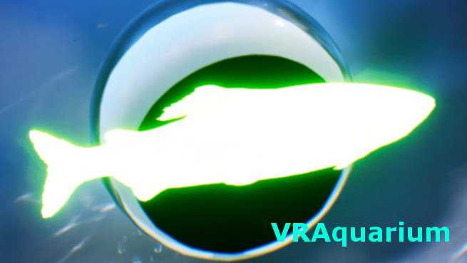 VRAquarium