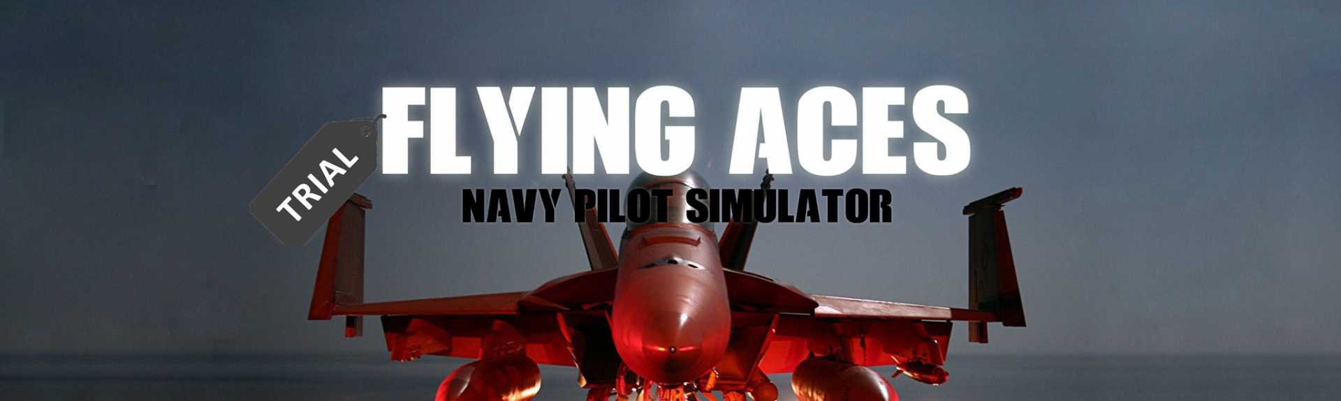 Flying Aces: Navy Pilot Simulator (Trial Version)