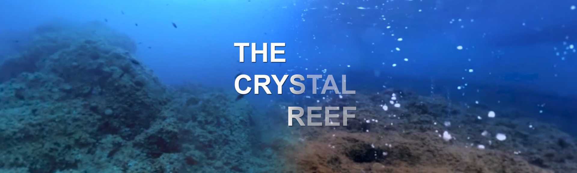 The Crystal Reef