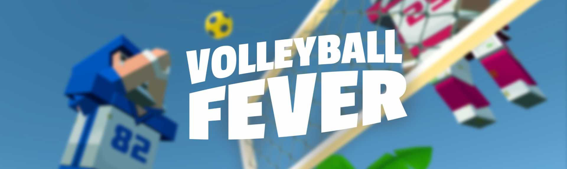 Volleyball Fever