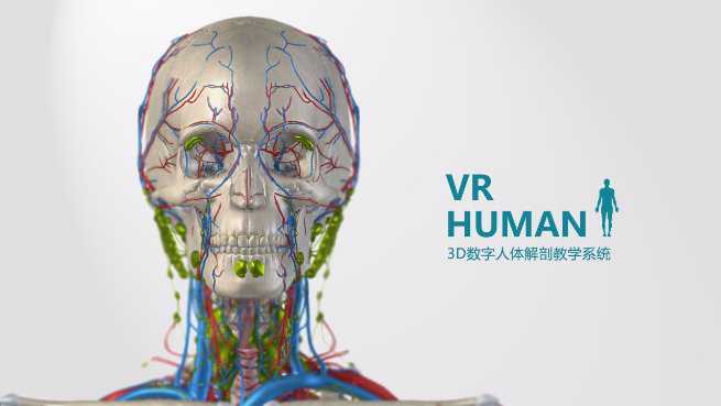 VR-Human virtual human anatomy teaching system