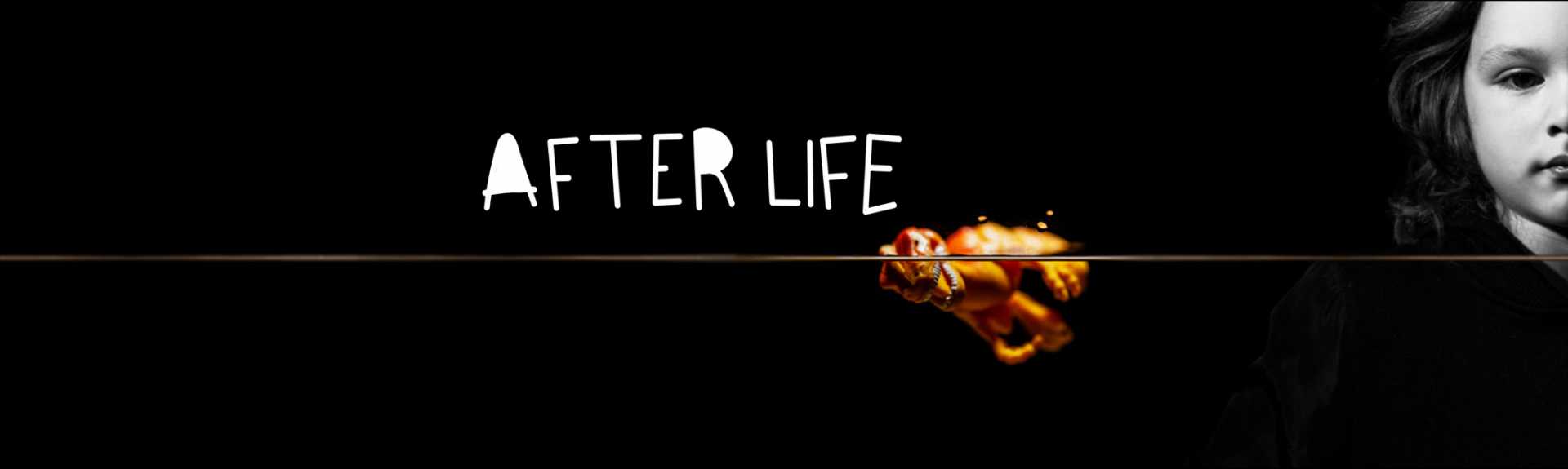 Afterlife