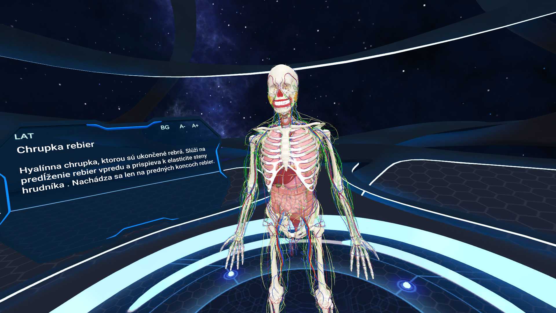 Human anatomy vr sales ps4