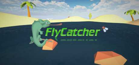 FlyCatcher