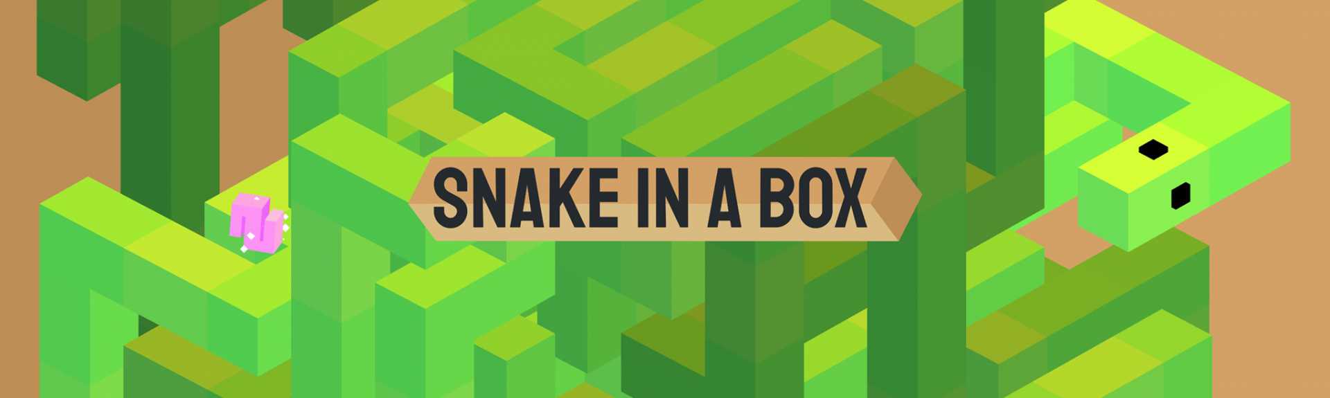 Snake in a Box