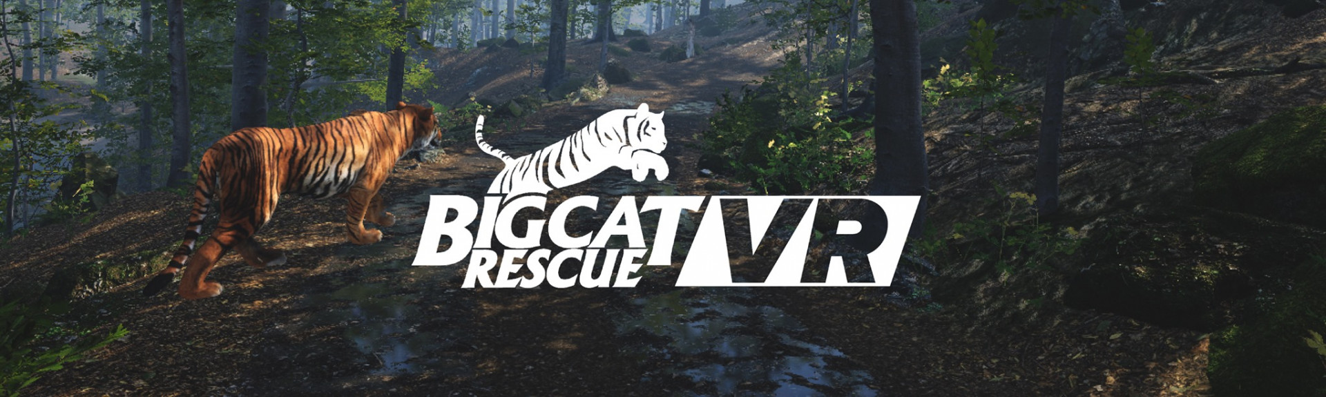 Big Cat Rescue