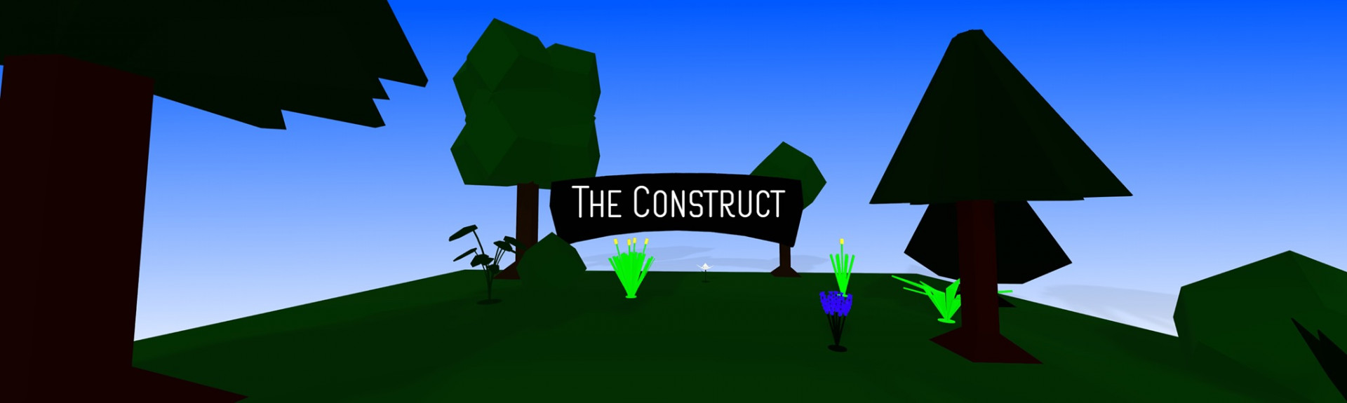 The Construct