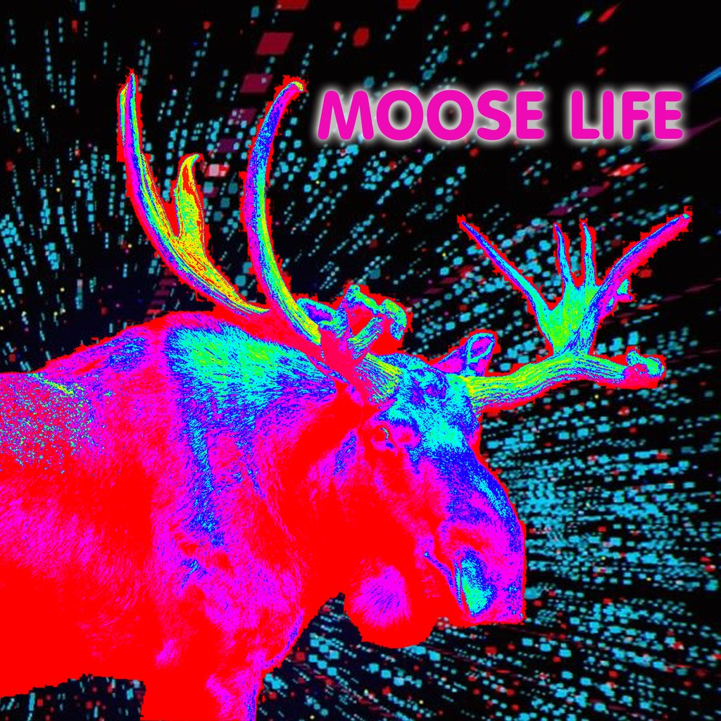 Moose Life: ANÁLISIS