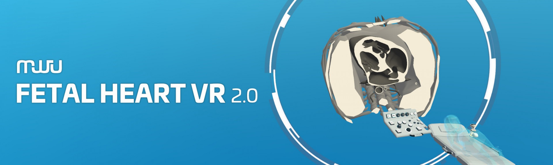 Fetal Heart VR