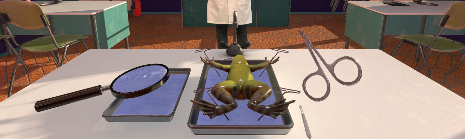 Dissection Simulator: Frog Edition