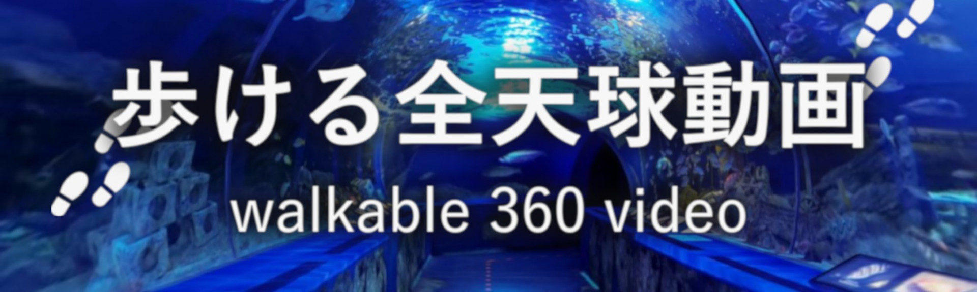 Walkable 360 Video