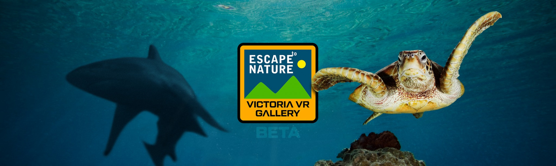 Victoria VR - ESCAPE to Nature GALLERY