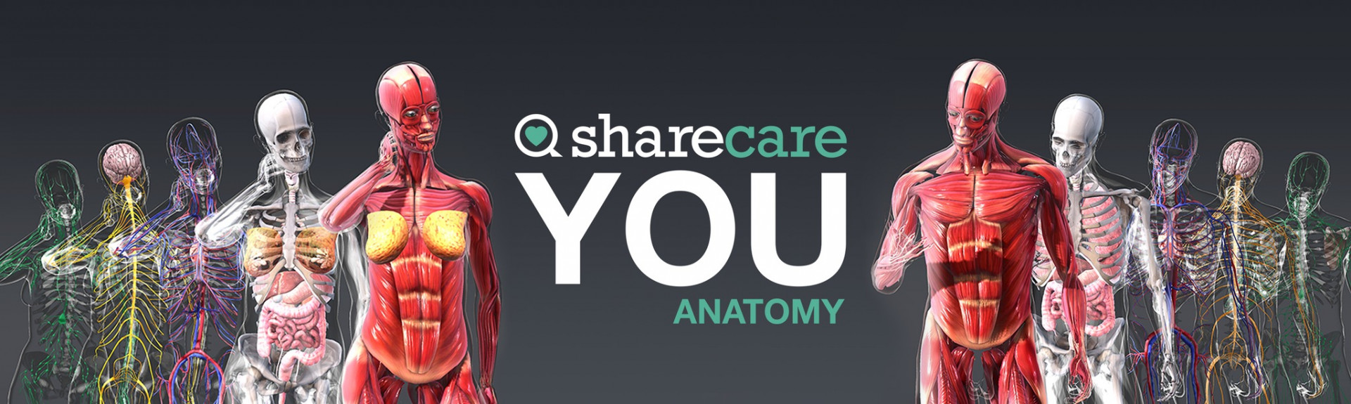 Sharecare YOU Anatomy