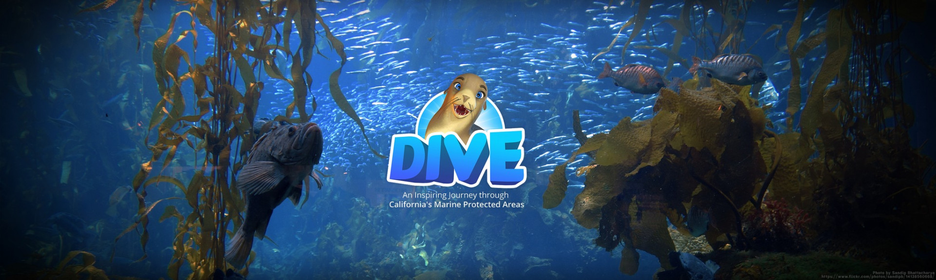 DIVE: An Inspiring Journey through California's Marine Protected Areas