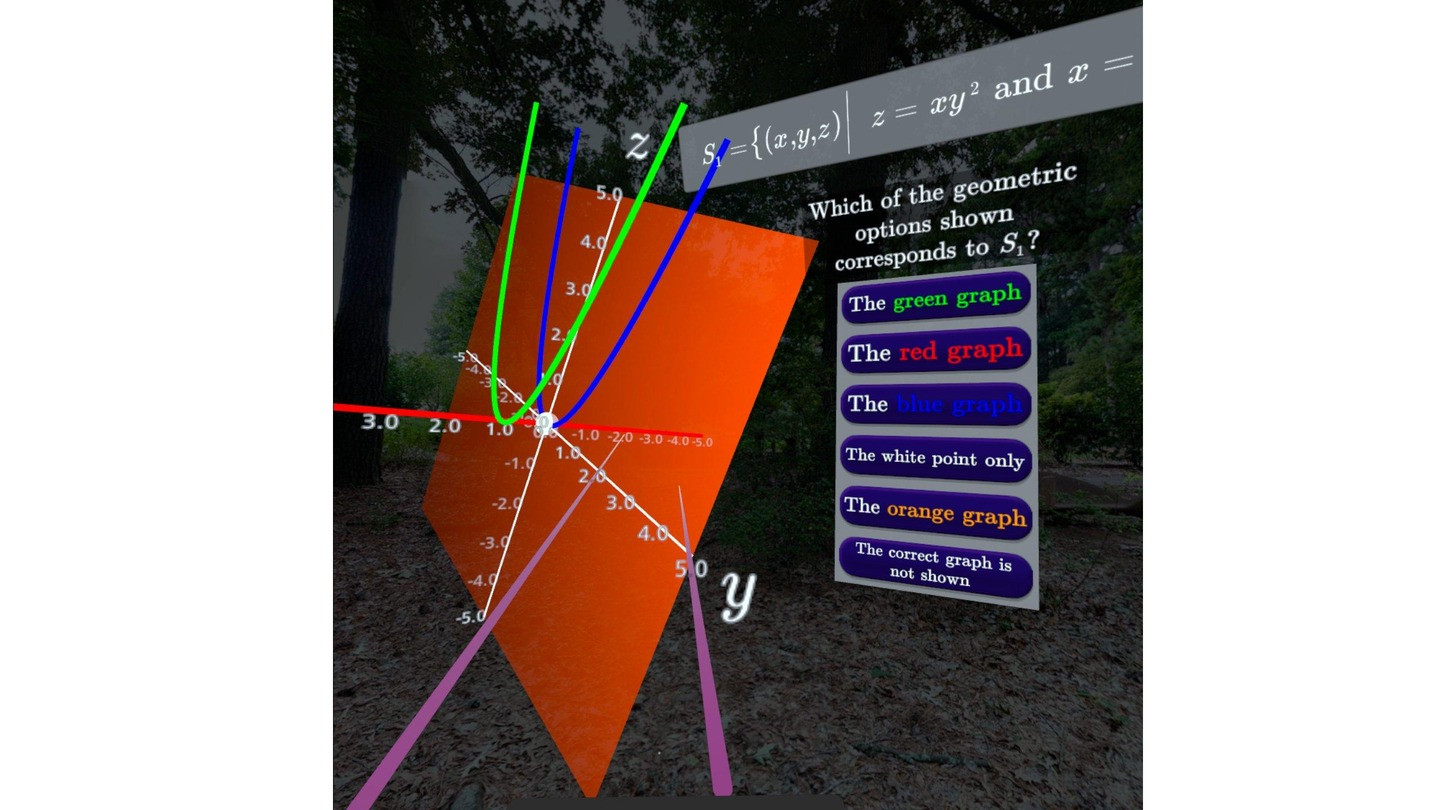 Calculus in Virtual Reality