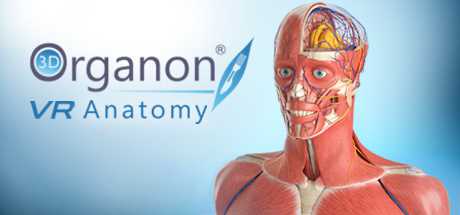 3D Organon VR Anatomy: ANÁLISIS