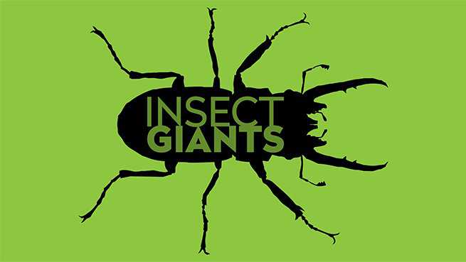 Insect Giants