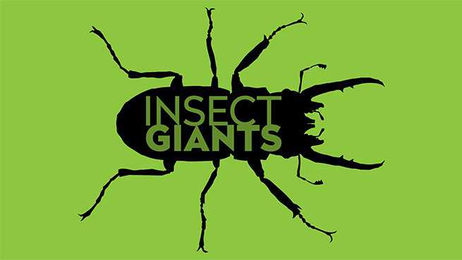 Insect Giants