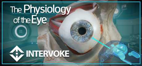 The Physiology of the Eye