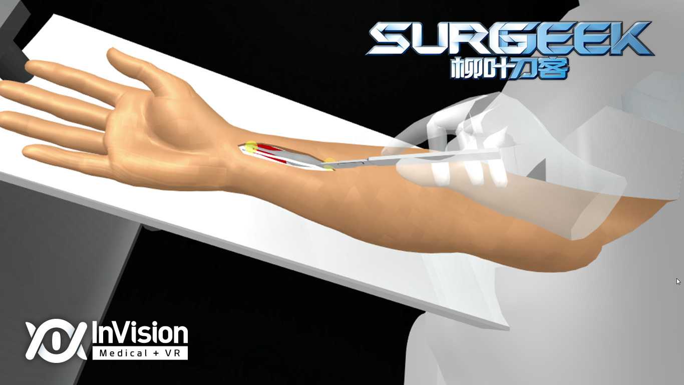 Surgeek - Virtual Surgeon