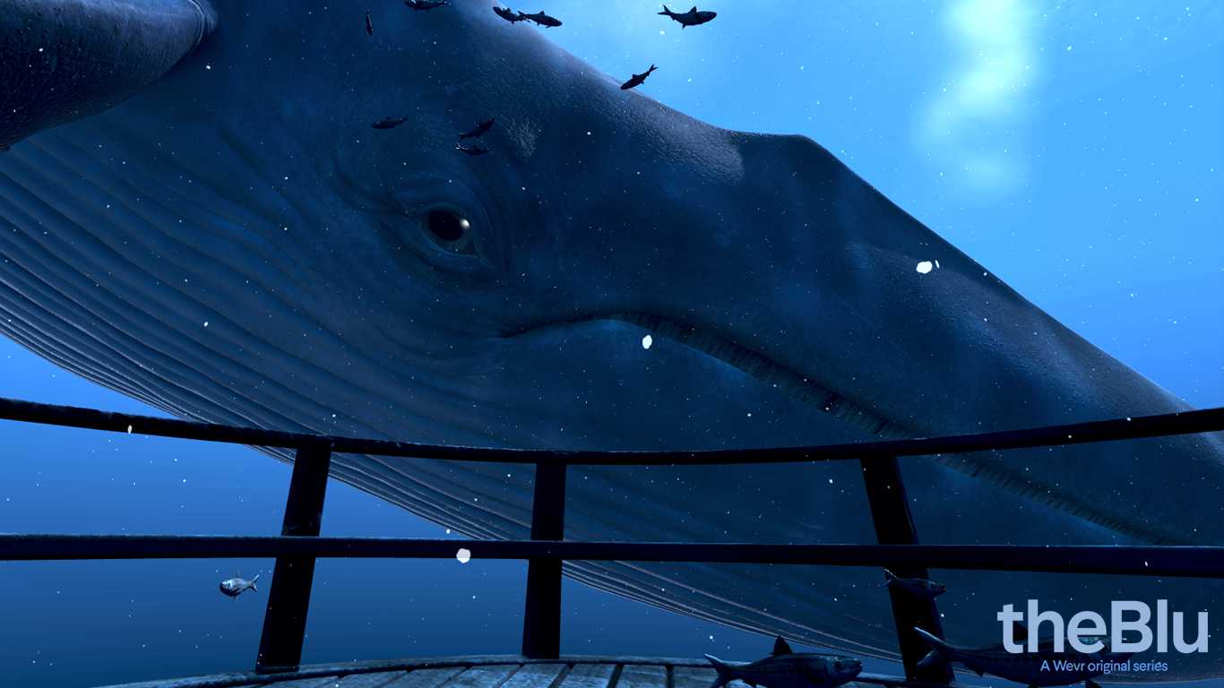 theBlu: Whale Encounter