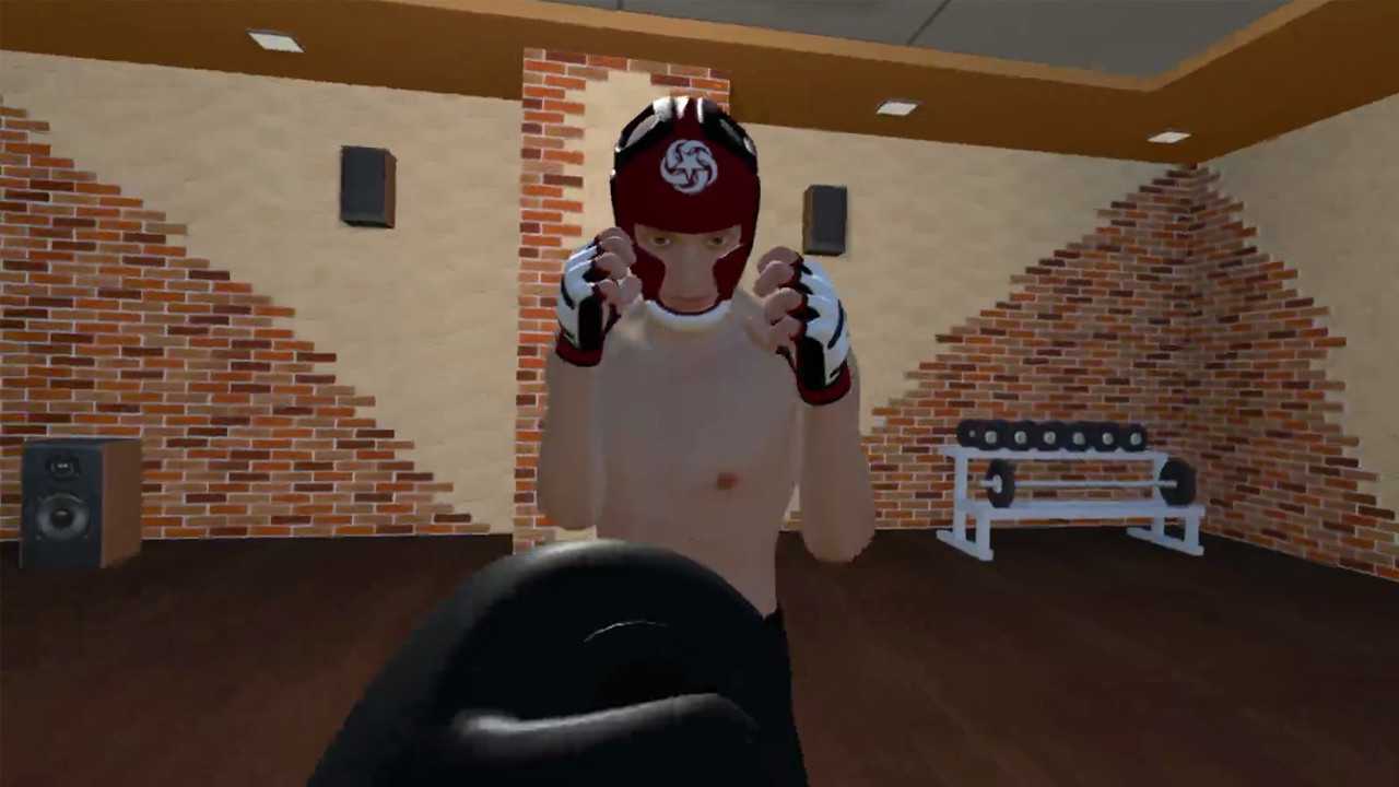 Fight Sparring VR