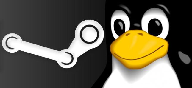 Steam y Linux