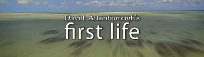 Documental First Life de David Attenborough para Gear VR