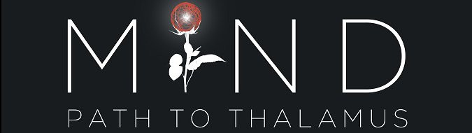 Ganadores del sorteo de Mind: Path to Thalamus Enhanced Edition